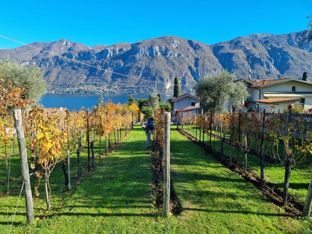 Bellagio Il Crotto Vila Exterior foto