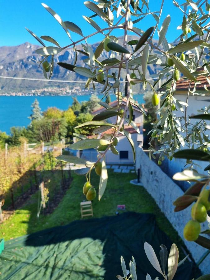 Bellagio Il Crotto Vila Exterior foto